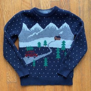 Hanna Andersson Boys Sweater